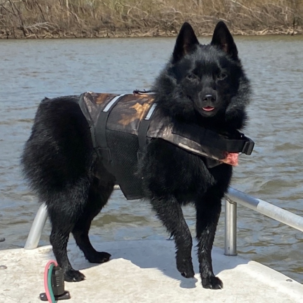 🎇🎇 🎇 REDUCED PRICES  WITH FREE SHIPPING ON MOST CLOSET ITEMS🎇🎇🎇